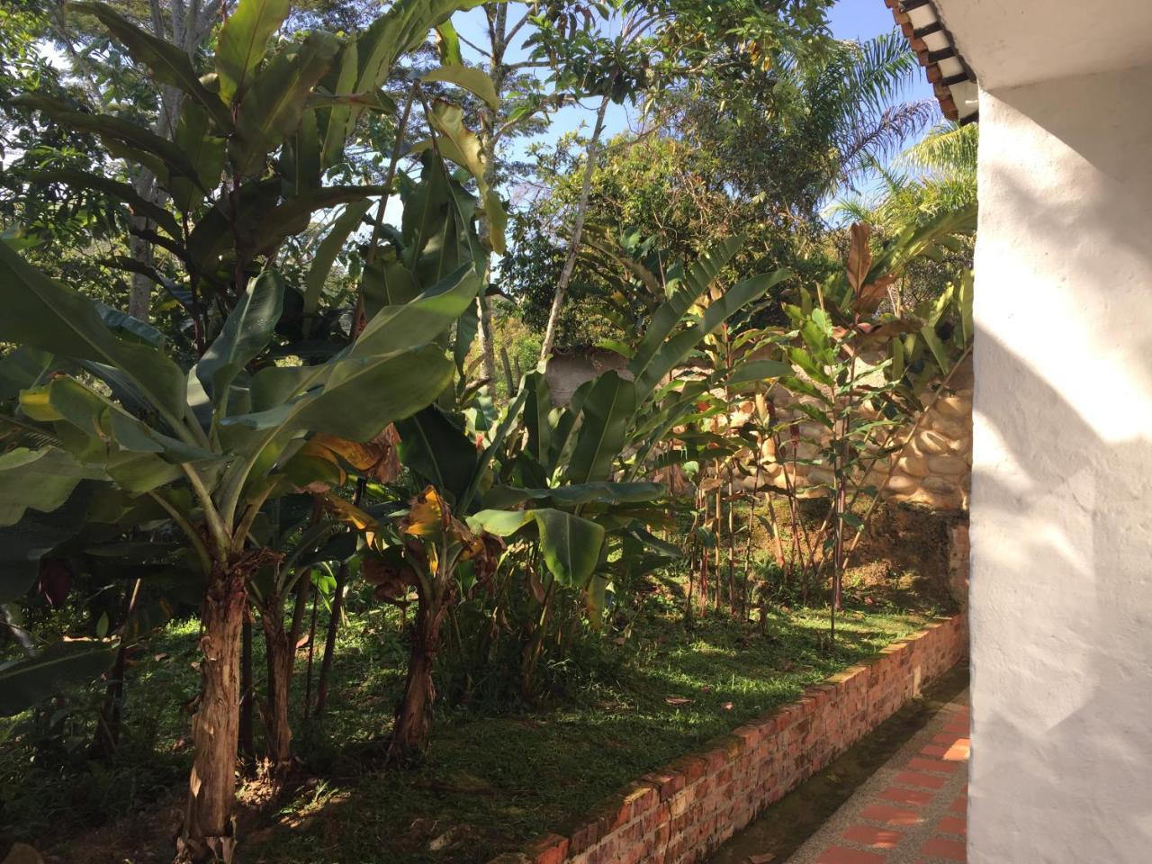 Hotel Casona Las Juanas San José de Pare Екстериор снимка